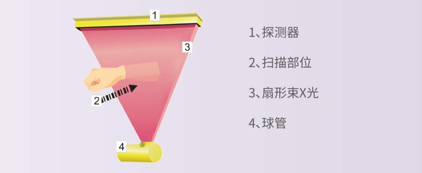 骨密度金標(biāo)準(zhǔn)